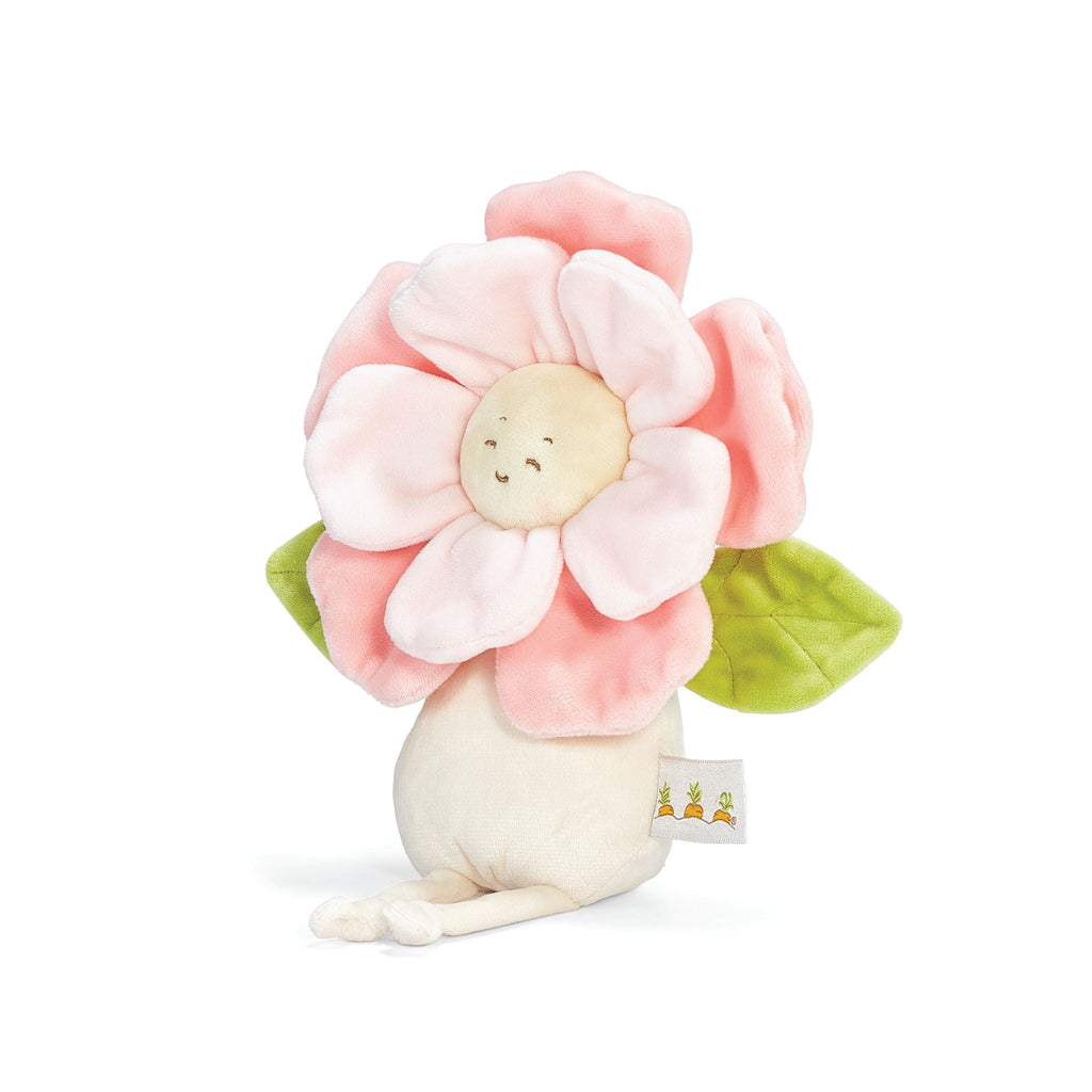 Pretty Peony Flower