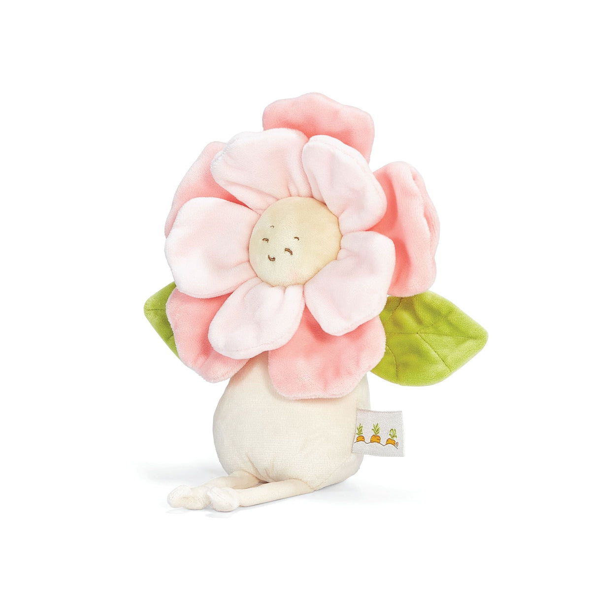 Pretty Peony Flower