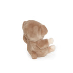 Tiny Bao Bao Bear
