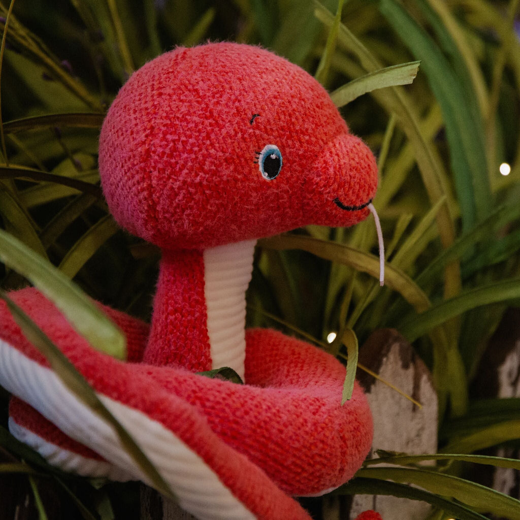 Year of the Snake