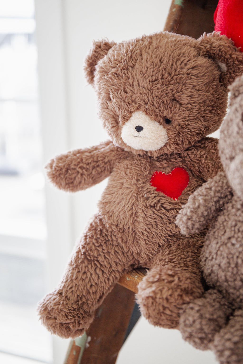 RETIRED - Teddy Love