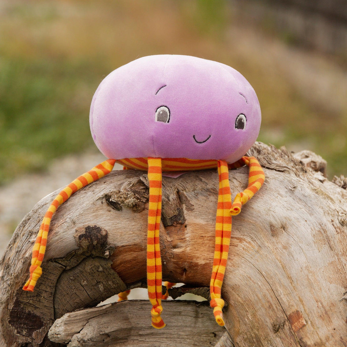 RETIRED - Weegee Jelly fish